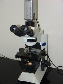 Microscope_ceg